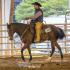 Volunteer Ranch Horse Show